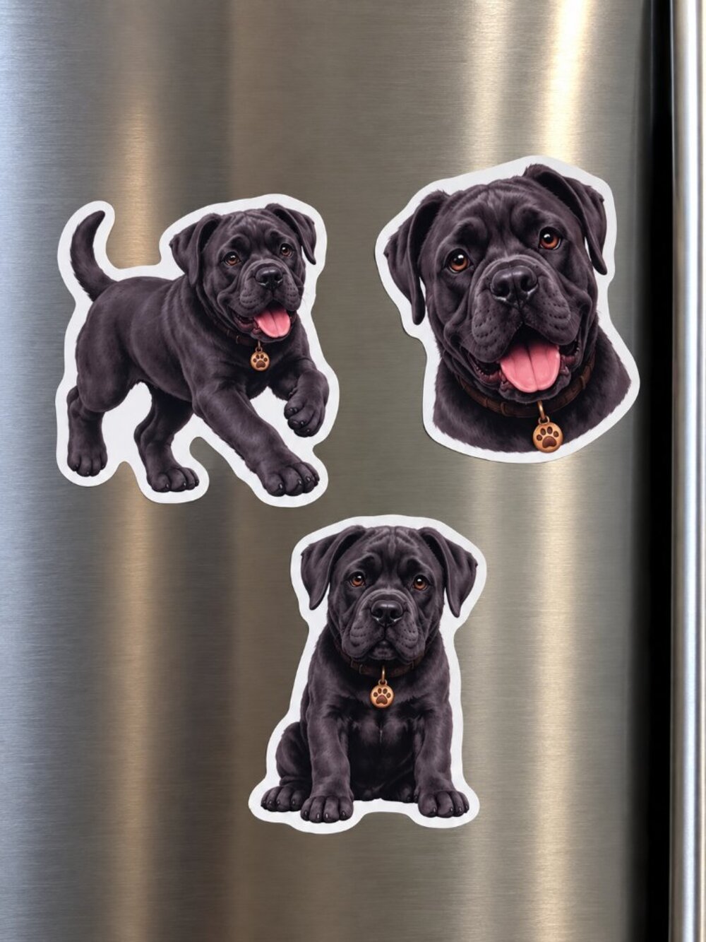 3 Cane Corso Dog Magnets Black Puppy Fridge Refrigerator Decor Dog Lover Gift